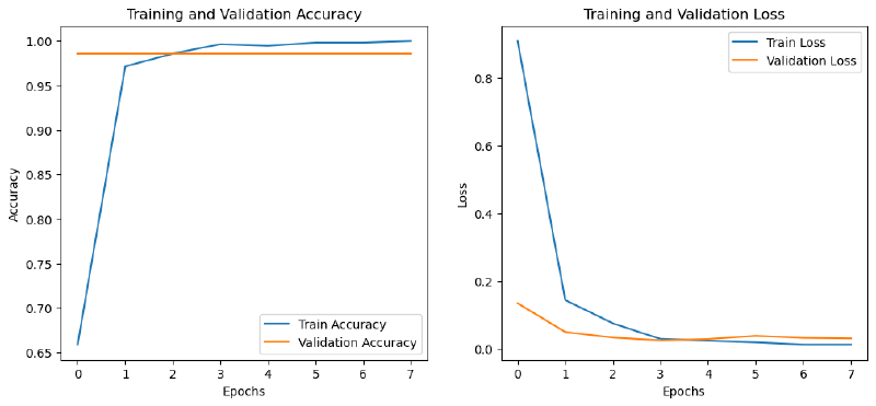 Training and Validation Accuracy & Loss