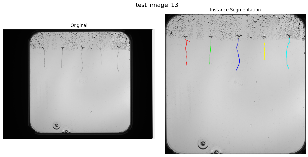 Segmentation output showing root, shoot and seed masks